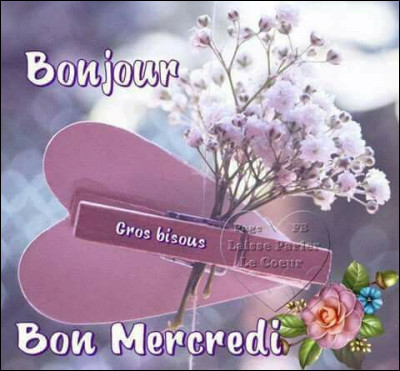 Qui joue le personnage de "Mercredi" dans la série télévisée éponyme ?