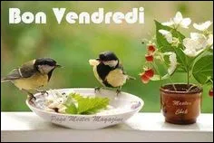 Selon la religion catholique, qu'est-il interdit de manger le Vendredi Saint ?