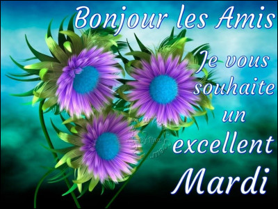 Quel animateur présentait l'émission "Ciel mon mardi !" ?