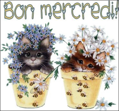 Depuis quelle année le mercredi a-t-il remplacé le jeudi, jour de congé des enfants ?