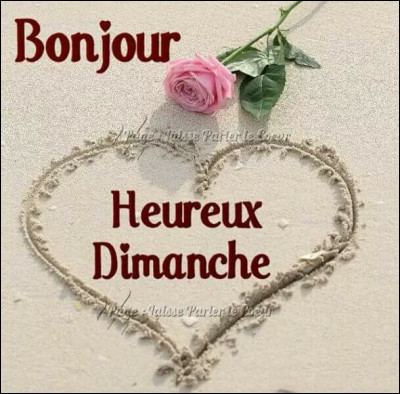 Quelle actrice jouait aux côtés de Michel Aumont et Louis Ducreux dans le film de Bertrand Tavernier "Un dimanche à la campagne" ?