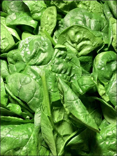 Les épinards sont...