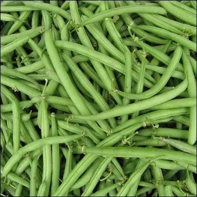 Les haricots verts sont...