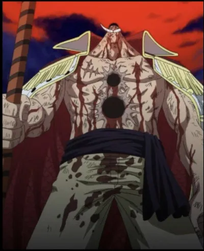 Combien de coups de canon, de sabre et de balles Barbe Blanche avait-il pris avant de mourir ?