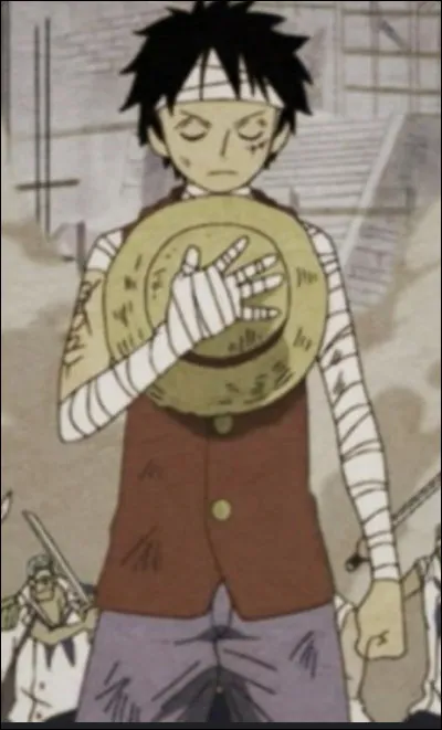 Quelle a été la réaction de Luffy après sêtre réveillé ?