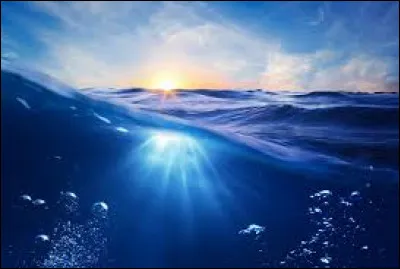 Combien d'espèces d'ormeaux sont aujourd'hui menacées d'extinction ?