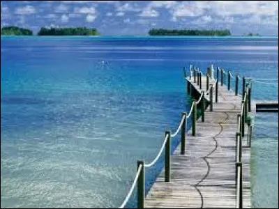 Comment appelle-t-on le courant d'une marée montante ?