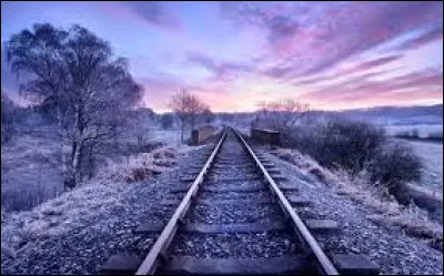 Quel pays pouvez-vous visiter avec le Reunification Express ?