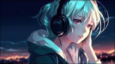 Quel genre de musique préfères-tu ?