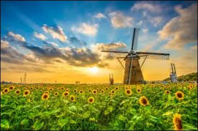 De quel pays est-ce la fête nationale le 4 juillet ?