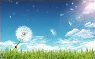 Quel pays a adopté un nouveau drapeau en juillet 1980 ?