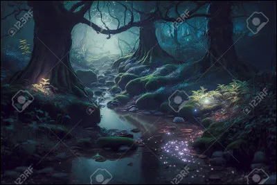 De qu'elle couleur est le ciel de la Forêt Sombre ?