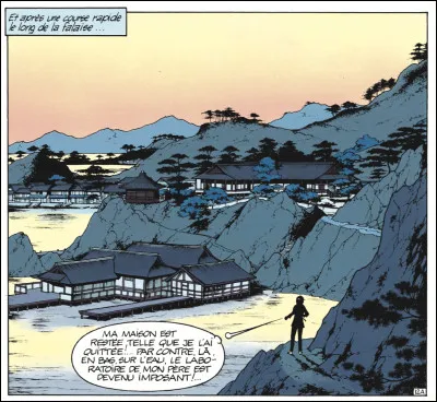 Electronicienne et pilote ayant adopté Rosée du matin..