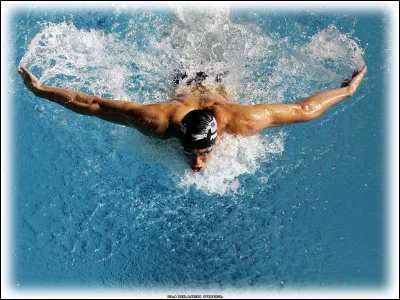 Quel style est principalement utilisé lors d'une compétition de nage libre ?