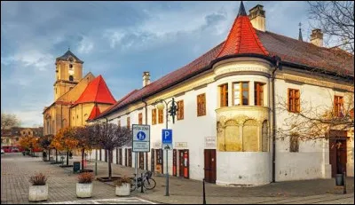 Dernière ville du quiz, bienvenue à Pezinok. Avec ses 22 000 habitants, Pezinok se trouve dans la région de Bratislava, et par conséquent...