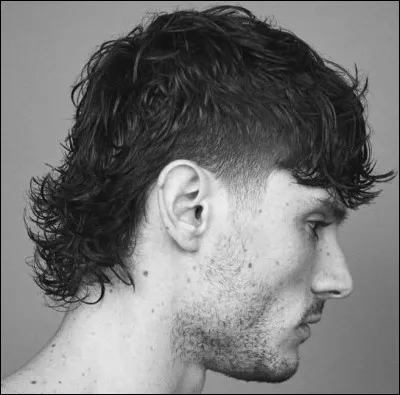 Quel est le nom de cette coupe de cheveux ?