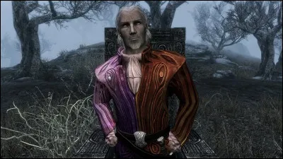 D'après la photo, qui est ce personnage de l'univers "The Elder Scrolls" ?