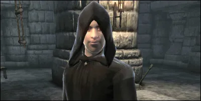 D'après la photo, qui est ce personnage de l'univers "The Elder Scrolls" ?