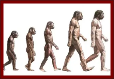 Quel est le seul membre actuel du groupe qui en est membre depuis le début, sans interruption ?
(Son nom + son instrument)