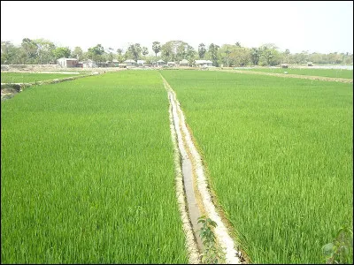 En Flandre, la mesure utilisée pour la houille était appelée...