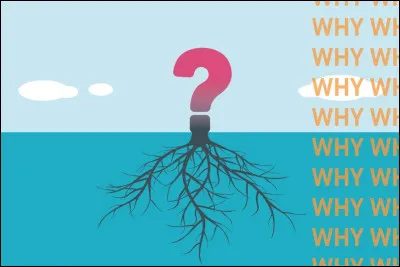 Comment dit-on "Pourquoi" en sms ?