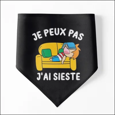 Comment dit-on "Je ne peux pas" en sms ?