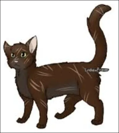 Qui l'a enlevé avec ses frères et sa sœur lorsqu'elle était chatonne ?