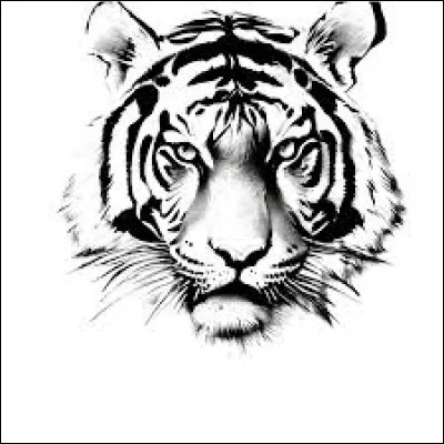 Quel est le nom scientifique du tigre ?