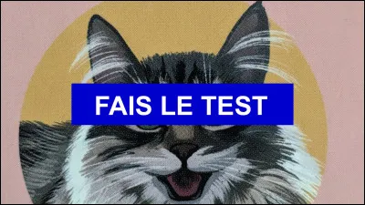 Quizz.biz a été créé en 2006.