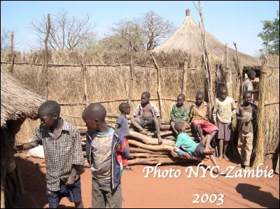 Quelle est cette ethnie de Zambie vivant près des chutes Victoria ?