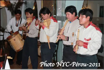 Quelle est cette ethnie emblématique d'Amérique du Sud, héritière de la civilisation Inca ?