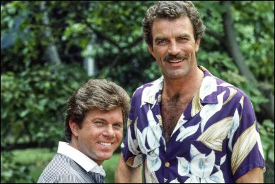 Qui interprète Magnum dans la série du même titre ?