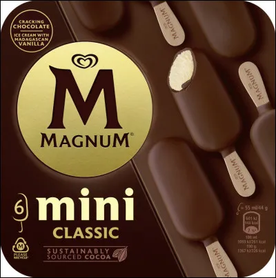 Quelle société américaine fabrique la glace Magnum ?