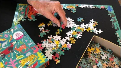 Donc au bout du sentier, se dresse un immense... temple ! Dedans, il y a plein de pièces de puzzle à résoudre pour accéder à une salle secrète. En combien de temps réussis-tu ?