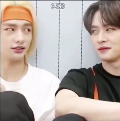 Quelle est ta chanson préférée des Stray Kids ?