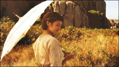 Quel film de Jean-Pierre Jeunet raconte l'histoire d'une jeune femme, qui part à la recherche de son fiancé disparu au front, pendant la guerre de 1914-1918 ?