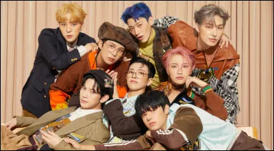 Si tu étais dans un groupe, tu serais...