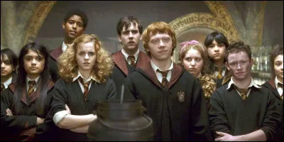 Quel élève de Gryffondor se fait moquer par des élèves de Serpentard ?