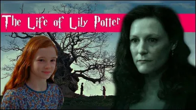 Quel professeur de Harry était amoureux de sa mère, Lily Potter ?