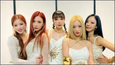 Si tu étais dans un groupe de K-pop, tu serais : (1)