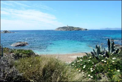 Un habitant d'une île s'appelle un insulien.