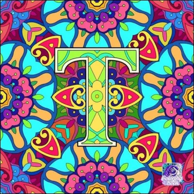 T comme Trésor : dans le film de Claude Berri "Trésor", titre du film, est le nom du chien, quelle est sa race ?