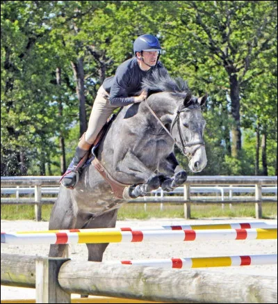 Quelle est la discipline que tu préfères ?