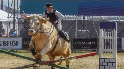 La photo est-elle belle selon toi ?