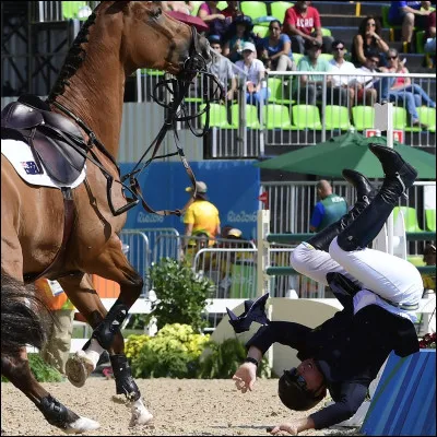 Regarde la photo et qu'en penses-tu ?