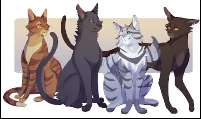 Combien a-t-il eu de compagnes ?