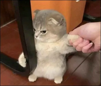 T'énerves-tu assez vite ?