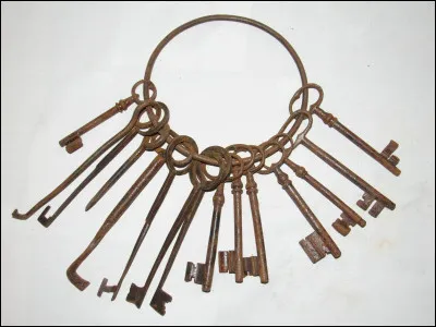 Lequel de ces humoristes français a d'abord été vendeur d'imprimantes et distributeur de vins et fromages ?