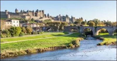 Le département français portant le numéro 11 est l'Aube.