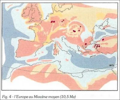 Miocne moyen environ -12   -8 Millions d'annes, la Provence tait :